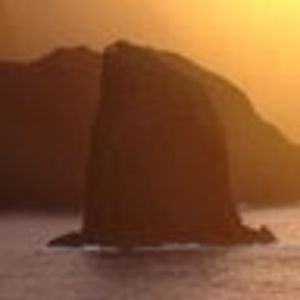 Meet your Posher, Guy